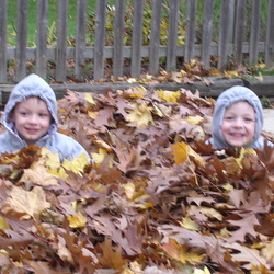 Brandon and Tyler playing in the leaves